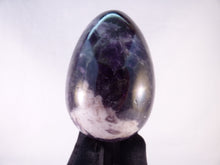 Large Zambian Cellular 'Flower' Amethyst Egg - 77mm, 308g