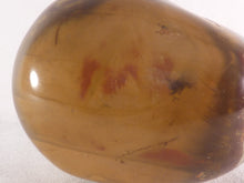 Polychrome Jasper Freeform Palm Stone - 60mm, 146g
