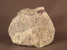 Madagascan Ruby in Quartzite Natural Specimen - 71mm, 226g