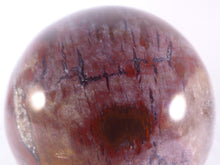 Madagascan Petrified Podocarpus Wood Sphere - 69mm, 460g