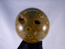 Large Orbicular Ocean Jasper Sphere - 84mm, 807g