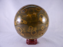 Large Orbicular Ocean Jasper Sphere - 84mm, 807g