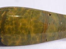 Orbicular Ocean Jasper Fish Carving - 140mm, 133g