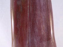 Large Madagascan Petrified Poducarpus Wood Standing Freeform - 185mm, 1498g
