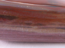 Large Madagascan Petrified Poducarpus Wood Standing Freeform - 185mm, 1498g