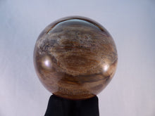 Large Madagascan Petrified Poducarpus Wood Sphere - 86mm, 855g