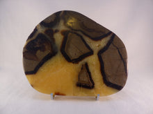 Large Polished Septarian Display Plate - 154mm, 470g
