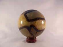 Large Septarian Sphere - 78mm, 655g