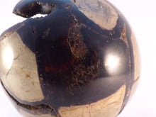 Large 'Sauvage' Calcite Centered Septarian Sphere - 83mm, 630g