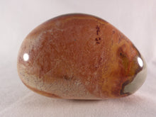 Large Polychrome Jasper Freeform Palm Stone - 75mm, 248g