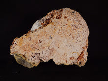 Natural Spiney Desert 'Coral' Agate - 158mm, 854g