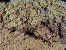 Natural Congo Botryoidal Chrysocolla Specimen - 123mm, 363g