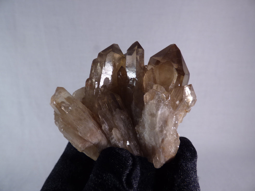 Natural Congo Dark Citrine Crystal Cluster - 47mm, 61g