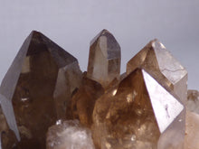 Natural Congo Dark Citrine Crystal Cluster - 47mm, 61g