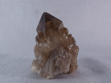Natural Congo Dark Citrine Cascading Crystal Point - 50mm, 65g