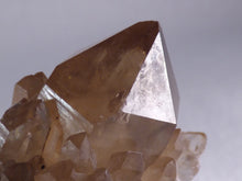 Natural Congo Dark Citrine Cascading Crystal Point - 50mm, 65g
