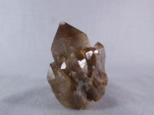 Natural Congo Dark Citrine Crystal Cluster - 50mm, 80g