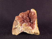 Congo Salrose Cobaltoan Calcite Specimen - 35mm, 38g
