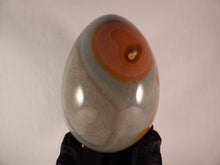 Large Polychrome Jasper Polished Egg - 90mm, 500g