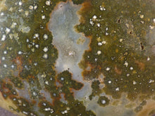 Orbicular Ocean Jasper Freeform Palm Stone - 52mm, 43g