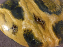 Orbicular Ocean Jasper Freeform Palm Stone - 44mm, 54g
