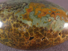 Orbicular Ocean Jasper Freeform Palm Stone - 48mm, 59g
