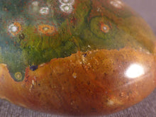 Orbicular Ocean Jasper Freeform Palm Stone - 49mm, 63g