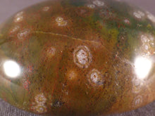 Orbicular Ocean Jasper Freeform Palm Stone - 49mm, 63g