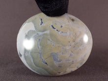 Orbicular Ocean Jasper Freeform Palm Stone - 51mm, 66g