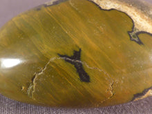 Orbicular Ocean Jasper Freeform Palm Stone -51mm, 68g