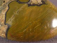 Orbicular Ocean Jasper Freeform Palm Stone -51mm, 68g
