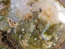 Orbicular Ocean Jasper Freeform Palm Stone - 56mm, 80g