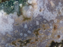 Orbicular Ocean Jasper Freeform Palm Stone - 60mm, 95g