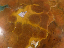 Orbicular Ocean Jasper Freeform Palm Stone - 53mm, 115g
