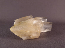 Natural Congo Pale Citrine Crystal - 71mm, 56g