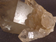 Natural Congo Pale Citrine Crystal - 61mm, 61g