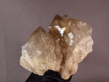Natural Congo Dark Citrine Crystal Cluster - 67mm, 92g