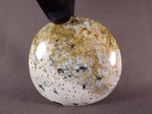 Orbicular Ocean Jasper Freeform Palm Stone - 70mm, 158g