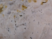 Orbicular Ocean Jasper Freeform Palm Stone - 70mm, 158g