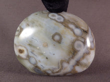 Orbicular Ocean Jasper Freeform Palm Stone - 69mm, 165g