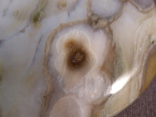 Orbicular Ocean Jasper Freeform Palm Stone - 69mm, 165g