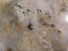Orbicular Ocean Jasper Freeform Palm Stone - 70mm, 188g