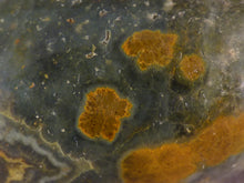 Orbicular Ocean Jasper Freeform Palm Stone - 72mm, 200g