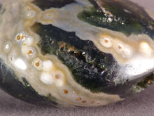 Large Orbicular Ocean Jasper Freeform Palm Stone - 72mm, 221g