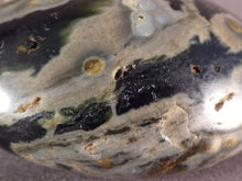 Large Orbicular Ocean Jasper Freeform Palm Stone - 72mm, 221g