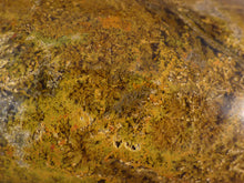 Large Orbicular Ocean Jasper Freeform Palm Stone - 75mm, 233g