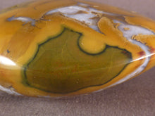 Large Orbicular Ocean Jasper Freeform Palm Stone - 83mm, 233g