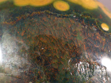 Large Orbicular Ocean Jasper Freeform Palm Stone - 70mm, 248g