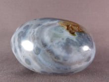 Large Orbicular Ocean Jasper Freeform Palm Stone - 70mm, 276g