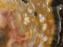Large Orbicular Ocean Jasper Freeform Palm Stone - 75mm, 205g
